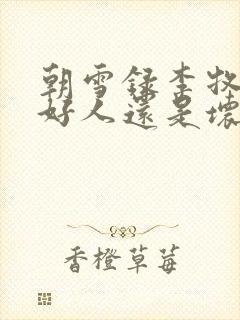 朝雪录李牧云是好人还是坏人