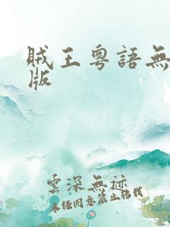 贼王粤语无删减版