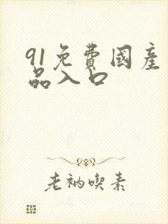 91免费国产精品入口