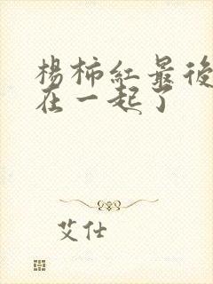 杨柿红最后和谁在一起了