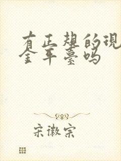 有正规的现货黄金平台吗