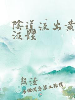 阴道流出黄色臭液体