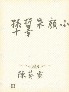 孙哲朱颜小说第十章