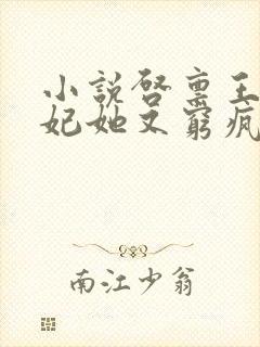 小说启禀王爷王妃她又穷疯了