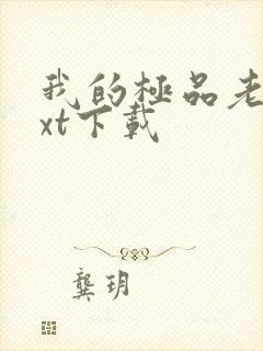 我的极品老婆txt下载