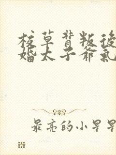 校草背叛后我闪婚太子爷气疯他在线阅读