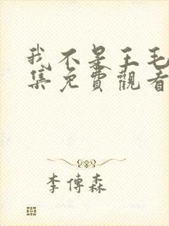 我不是王毛40集免费观看