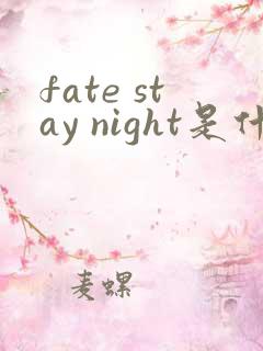 fate stay night是什么