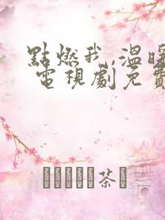 点燃我,温暖你 电视剧免费观看