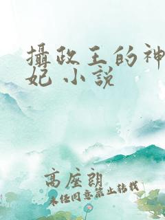 摄政王的神医狂妃 小说