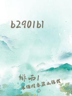 b2901bl