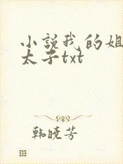 小说我的姐夫是太子txt