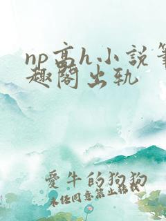 np高h小说笔趣阁出轨