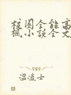 校园全能高手季枫小说全文免费