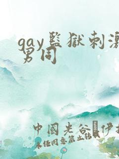 gay监狱刺激男同