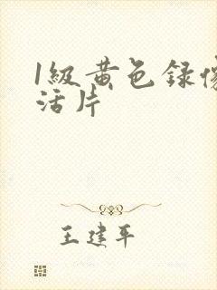1级黄色录像生活片