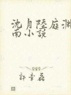 沈月陆庭渊林序南小说