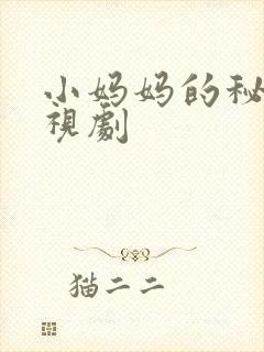 小妈妈的秘密电视剧