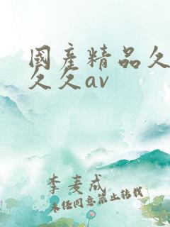 国产精品久久久久久av