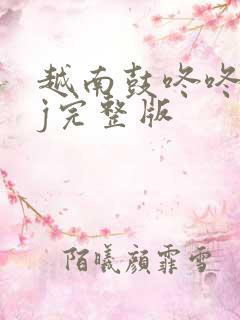 越南鼓咚咚咚dj完整版