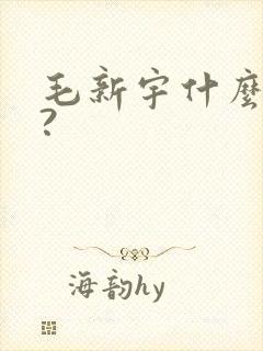 毛新宇什么级别?