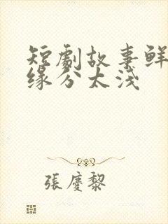 短剧故事鲜艳而缘分太浅