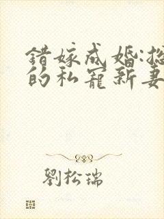 错嫁成婚:总裁的私宠新妻 小说