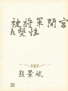 被将军开宫怀孕h双性