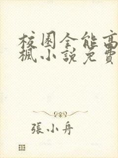 校园全能高手季枫小说免费完整版txt