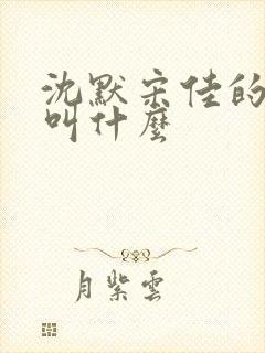 沈默宋佳的短剧叫什么