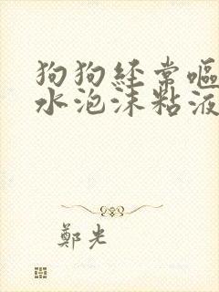 狗狗经常呕吐黄水泡沫粘液怎么办