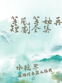 等风等她再回头短剧全集