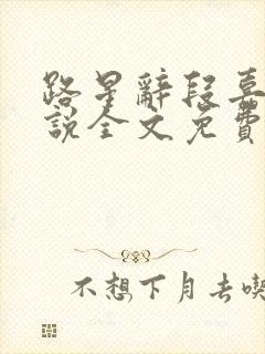 路星辞段嘉衍小说全文免费阅读