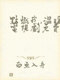 点燃我,温暖你电视剧免费完整版