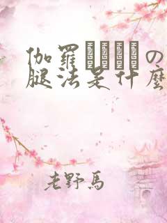 伽罗ちゃんへの腿法是什么