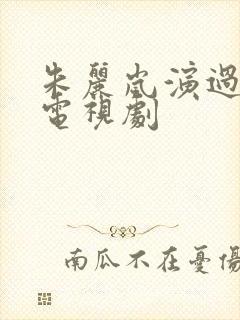 朱丽岚演过哪些电视剧