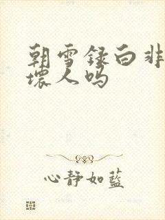 朝雪录白非珏是坏人吗