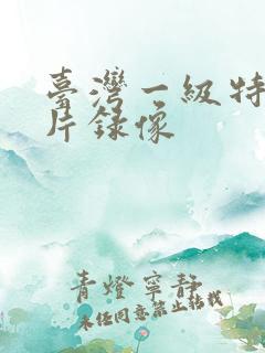 台湾一级特黄大片录像