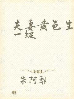 夫妻黄色生活片一级