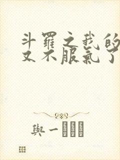 斗罗之我的系统又不服气了小说