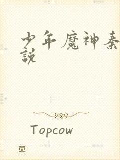 少年魔神秦龙小说