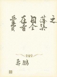 爱在日落之前免费看全集