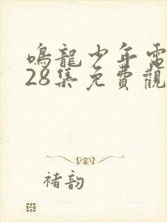 鸣龙少年电视剧28集免费观看