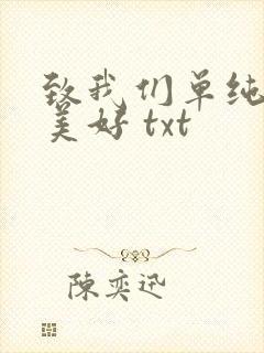 致我们单纯的小美好 txt