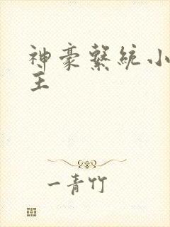 神豪系统小说女主