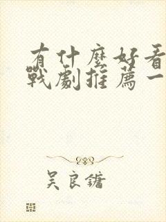 有什么好看的谍战剧推荐一下