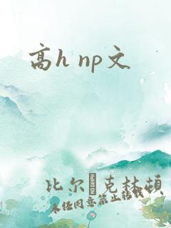 高h np文