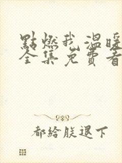 点燃我温暖你在全集免费看电视剧