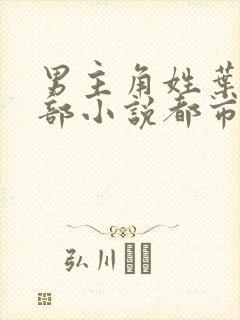 男主角姓叶的全部小说都市