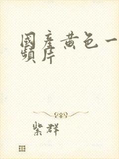 国产黄色一级视频片